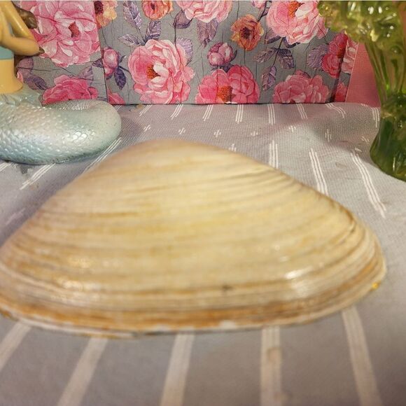 DECOUPAGE CLAM SHELL DECOUPAGE TRINKET DISH WITH CHRISTMAS HOLLY - Picture 10 of 10